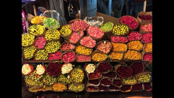 chợ hoa Hồ Thị Kỷ 