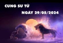 Dự đoán con số may mắn cung Sư Tử ngày 29/5/2024 thứ 4