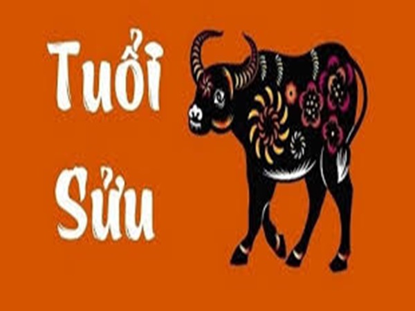 Con số may mắn tuổi Sửu hôm nay 12/7/2024 là số gì?