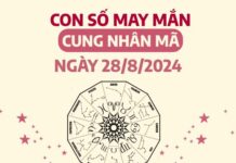 Con số may mắn của cung Nhân Mã ngày 28/8/2024