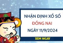 Nhận định xổ số Đồng Nai ngày 11/9/2024 chọn số sinh sôi tài lộc