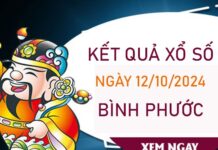 Loto VIP XSBP 12/10/2024 tham khảo phân tích chuẩn