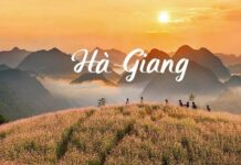 Tổng hợp kinh nghiệm du lịch Hà Giang 3 ngày 2 đêm