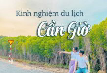 Kinh nghiệm du lịch Cần Giờ bằng xe máy cho giới trẻ