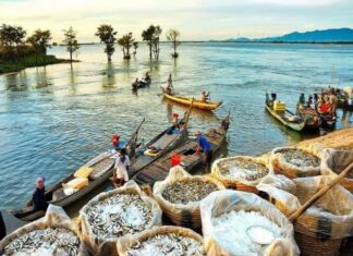 du lịch 1 mình nên đi đâu