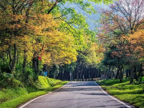 Du lịch quanh hà nội 2 ngày 1 đêm có thể tới vườn quốc gia ba vì
