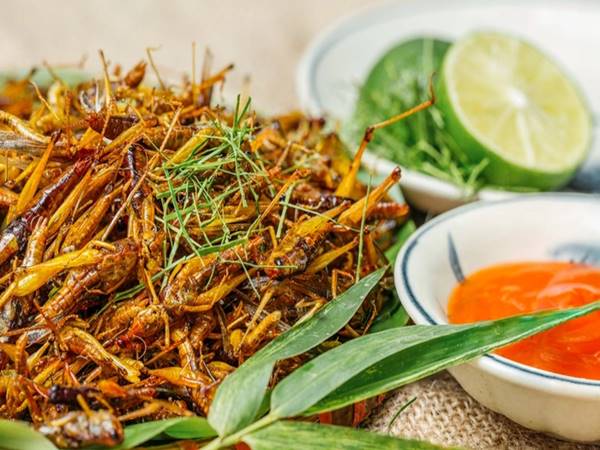 Những món ăn quê Bắc - Trung - Nam