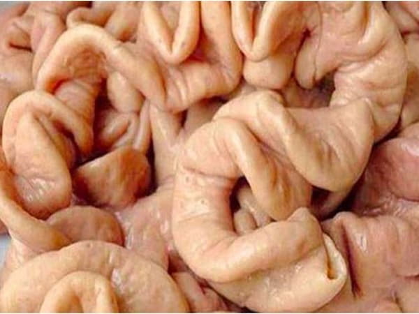 Chọn nguyên liệu tươi ngon – bước đầu quyết định thành công