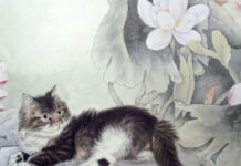 Thu hút phúc khí với số phú quý tuổi Kỷ Mão 25/9/2025 Thu hút phúc khí với số phú quý tuổi Kỷ Mão 25/9/2025