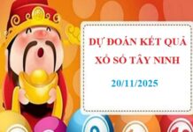 Dự đoán xổ số Tây Ninh 20/11/2025 chốt số vàng hôm nay