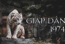 con số may mắn tuổi giáp dần ngày 12/1/2026